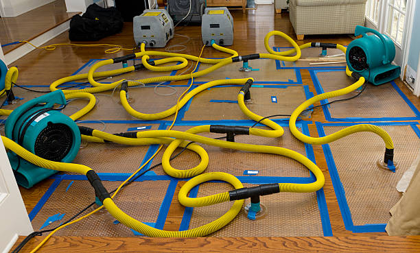 Professional Basement Flood Cleanup technician working in Forest Park, OH